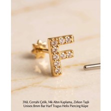 Lunexa 316L Cerrahi Çelik Altın Kaplama Kararmaz Alerji Yapmaz Zirkon Taş Figür Unisex Tragus Helix Küpe PIERCING-238B-24