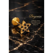 Lunexa 316L Cerrahi Çelik Altın Kaplama Kararmaz Alerji Yapmaz Zirkon Taş Figür Unisex Tragus Küpe Piercing
