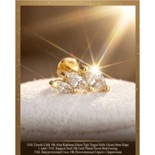 Lunexa 316L Cerrahi Çelik Altın Kaplama Kararmaz Alerji Yapmaz Zirkon Taş Figür Unisex Tragus Helix Küpe Piercing AC210-22