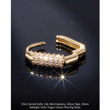 Lunexa 316L Cerrahi Çelik Altın Kaplama Kararmaz Alerji Yapmaz Zirkon Taş Figür Unisex Tragus Helix Küpe PIERCING-178-30