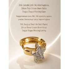 Lunexa 316L Cerrahi Çelik Altın Kaplama Kararmaz Alerji Yapmaz Zirkon Taş Figür Unisex Tragus Helix Küpe PIERCING-238A-35