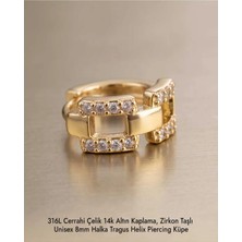 Lunexa 316L Cerrahi Çelik Altın Kaplama Kararmaz Alerji Yapmaz Zirkon Taş Figür Unisex Tragus Helix Küpe PIERCING-238B-5