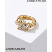 Lunexa 316L Cerrahi Çelik Altın Kaplama Kararmaz Alerji Yapmaz Zirkon Taş Figür Unisex Tragus Helix Küpe PIERCING-238A-10