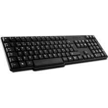 Eldenör Everest KB-517U Siyah USB Q Standart Klavye