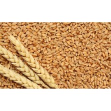 Me Buğday Işlenmemiş Buğday 1 kg Topraktan Halka