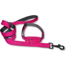 Martingale Köpek Eğitim Tasması ve Gezdirme Kayışı Takımı | Lima (Small)