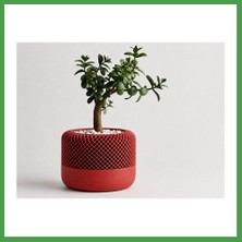 Soi Home 3D Baskı Modern File Desenli Dekoratif Saksı - Minimal Çiçek Saksısı, Ev ve Ofis Bitki Saksısı-Kırmızı Soı