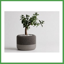 Soi Home 3D Baskı Modern File Desenli Dekoratif Saksı - Minimal Çiçek Saksısı, Ev ve Ofis Bitki Saksısı-Gri Soı