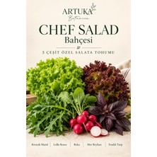 ARTUKA Chef Salad Bahçesi | 5 Çeşit Özel Salata Tohumu Seti | Kıvırcık Marul, Lollo Rosso, Roka, Mor Reyhan, Fındık Turp