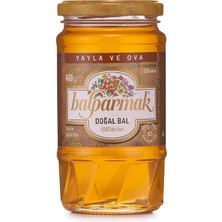 Tr Yayla ve Ova Çiçek Balı 460 gr