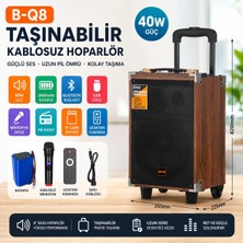 Tr Bq8 Taşınabilir Kablosuz Hoparlör, 40W, Bluetooth, Fm Radyo, Uzaktan Kumanda, Kahverengi