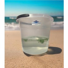 Tr Wespa Şeffaf Plastik Su Kovası, 10 Litre