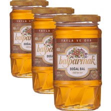 Tr Yayla ve Ova Çiçek Balı 460 gr (3 Paketi)