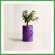 Soi Home 3D Baskı Emoji Planter - Göz Kırpan Yüzlü Sukulent Saksısı-Mor Soı