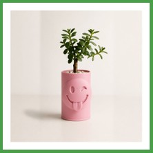 Soi Home 3D Baskı Emoji Planter - Göz Kırpan Yüzlü Sukulent Saksısı-Pembe Soı