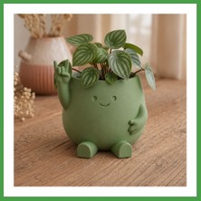 Soi Home 3D Baskı Smiley Face Planter - Gülümseyen Karakterli Saksı-Yeşil Soı