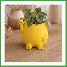 Soi Home 3D Baskı Smiley Face Planter - Gülümseyen Karakterli Saksı-Sarı Soı