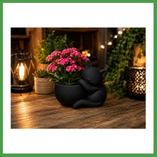 Soi Home 3D Baskı Sarılan Kedi Saksı - Sevimli Dekoratif Saksı - Siyah Soı