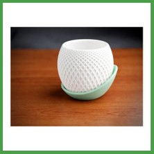 Soi Home 3D Baskı Küre Saksı - Kafes Dokulu Iki Parçalı Dekoratif Saksı - Beyaz-Mint Soı