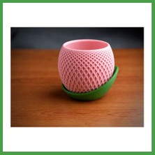 Soi Home 3D Baskı Küre Saksı - Kafes Dokulu Iki Parçalı Dekoratif Saksı - Pembe-Yeşil Soı