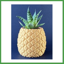 Soi Home 3D Baskı Ananas Formlu Saksı ve Kalemlik Kabartma Dokulu Sukulent Saksısı Masaüstü Bitki ve Kalem Tutucu Soı