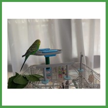Soi Home 3D Baskı Dönebilen Kuş Yemliği ve Oyuncağı Muhabbet Kuşu ve Papağan Oyun Standı Etkileşimli Kuş Yemliği Soı