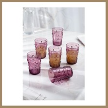Bezos Akrilik Mürdüm 6'lı Kısa Bardak & Su Meşrubat Kahve Yanı Bardağı 400 ml ( Cam Değildir ) 22
