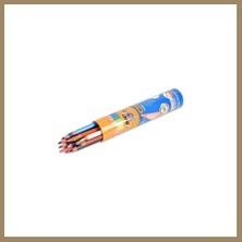 Bezos Evolution Kuru Boya 12+1 Metal Tüp 1 Adet 22