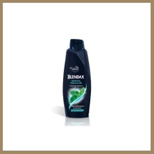 Bezos Erkek Mentol Şampuan 500ML 1 Adet 22
