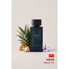 Royal Platinum Babylon Erkek EXTRAIT DE PARFUM 100 ML Ananas - Misk - İris Çiçeği | Ferah Seri
