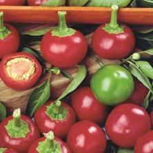 İdea Pazar Geleneksel Red Cherry Tatlı Biber Tohumu 50 Tohum)
