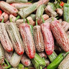 İdea Pazar Nadir Ata Tohumları Jalapeno Farmers Biber Tohumu (10 Tohum)