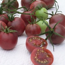 İdea Pazar Çikolata Cherry Domates Tohumu (15 Tohum)