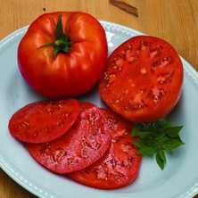 İdea Pazar Beef F1 Sırık Kahvaltılık Etli Domates Tohumu (10 Tohum)