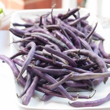 İdea Pazar Geleneksel Purple Wax Sırık Fasulye Tohumu (10 Tohum)