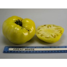 İdea Pazar Doğal Great White Domates Tohumu (20 Adet)
