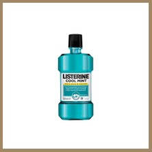 Bezos Coolmint 500ML 1 Adet 22