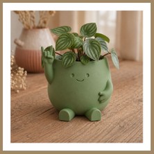 Bezos 3D Baskı Smiley Face Planter - Gülümseyen Karakterli Saksı-Yeşil 22