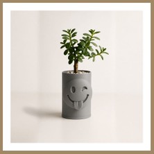 Bezos 3D Baskı Emoji Planter - Göz Kırpan Yüzlü Sukulent Saksısı-Gri 22