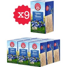 Teekanne Yaban Mersini Karışık Bitki Çayı x 9 Adet