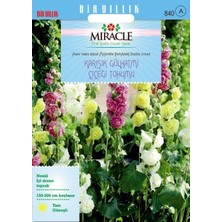 İdea Pazar Miracle Karışık Renkli Katmerli Gül Hatmi Çiçeği Tohumu (40 Tohum)