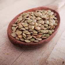 İdea Pazar Ata Tohumları Geleneksel Yeşil Mercimek Tohumu (20 Tohum)
