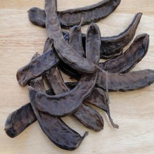 İdea Pazar Doğal Amerikan Carop(Harnup) Ağacı Tohumu(5 Tohum)
