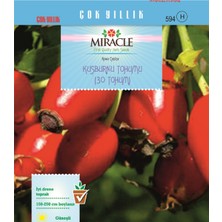 İdea Pazar Miracle Kuşburnu Tohumu (20 Adet)