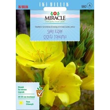 İdea Pazar Miracle Ezan Çiçeği TOHUMU(480 Tohum)