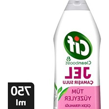 Myg Plus 750 ml Leke Çıkarıcı Yüzey Temizleyici, Çiçek Ferahlığı