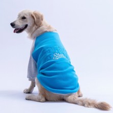 Mavi Boston Pawstar Sweat Orta-Büyük Irk Köpek Sweatshirt Köpek Sweat Köpek Kıyafeti