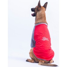 Kırmızı Boston Pawstar Sweat Orta-Büyük Irk Köpek Sweatshirt Köpek Sweat Köpek Kıyafeti