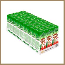 Bezos Tropix Meyve Suyu Vişne 200 ml (27 Adet) 22