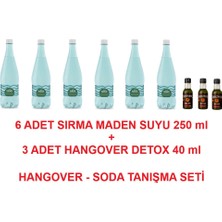 Hangover Soda Tanışma Paketi - Hangover Detox 40M x 3 Adet + Sırma Maden Sodası 250 ml x 6 Adet